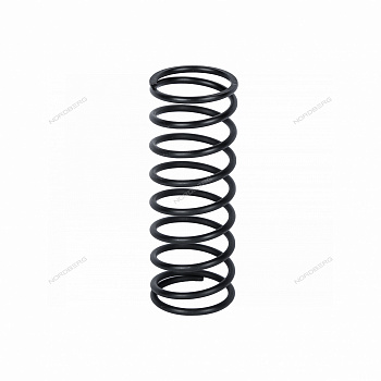 Пружина для N3P2
